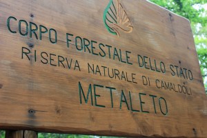 metaleto_fratus_2014_a