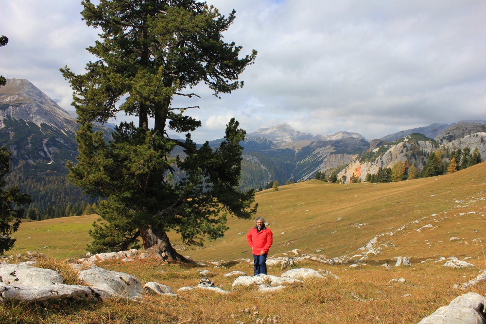 L’uomo che cammina