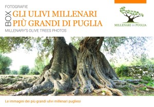 cofanetto_millenaridipuglia