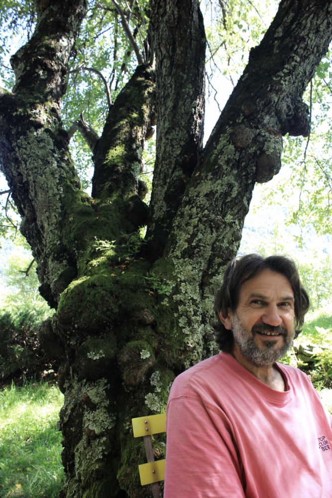 Il pruno secolare di Viù su «La&nbsp;Stampa»