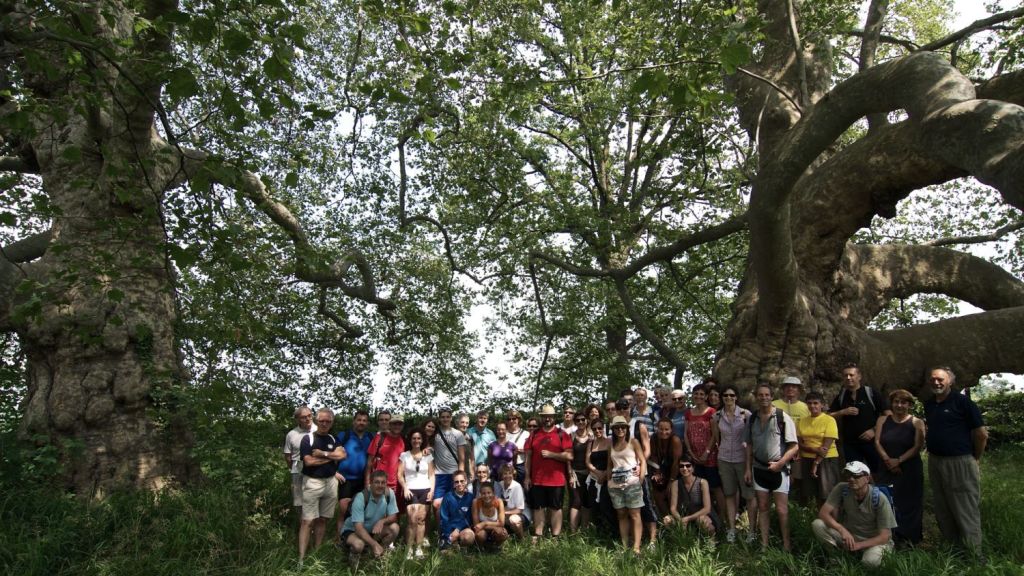 Atto di dendrosofia a Campiglione Fenile