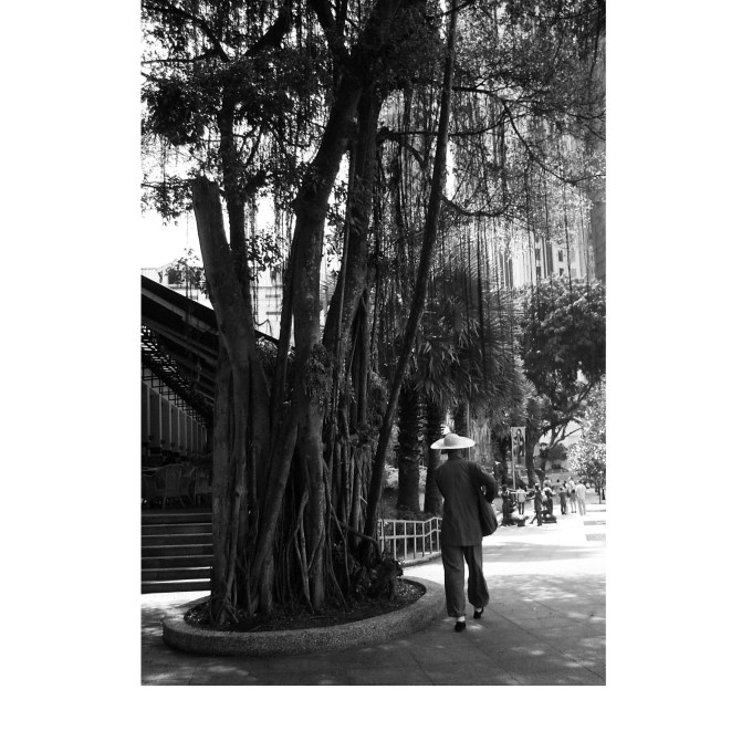 arboribonzo_singapore_fratus_redux