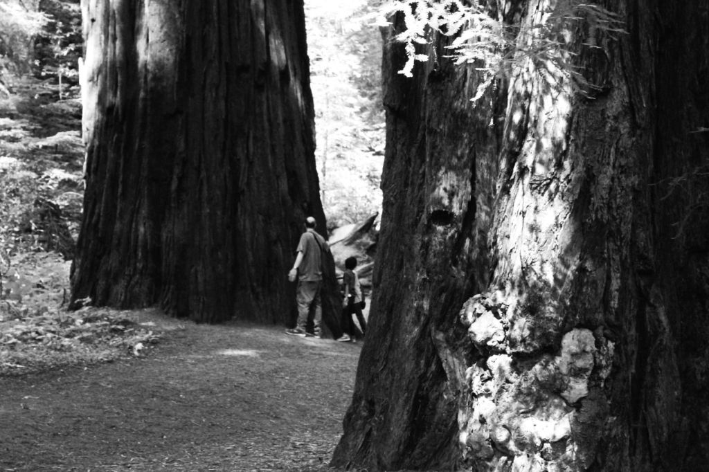 Crononàuta – Un neologismo alla ricerca di&nbsp;definizione