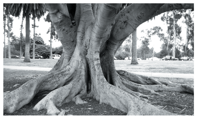 HR_2015_FRATUS_SANDIEGO