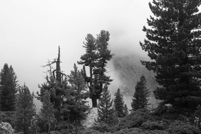 hr_alpi_fratus_alpeditramin_scenario_2_redux