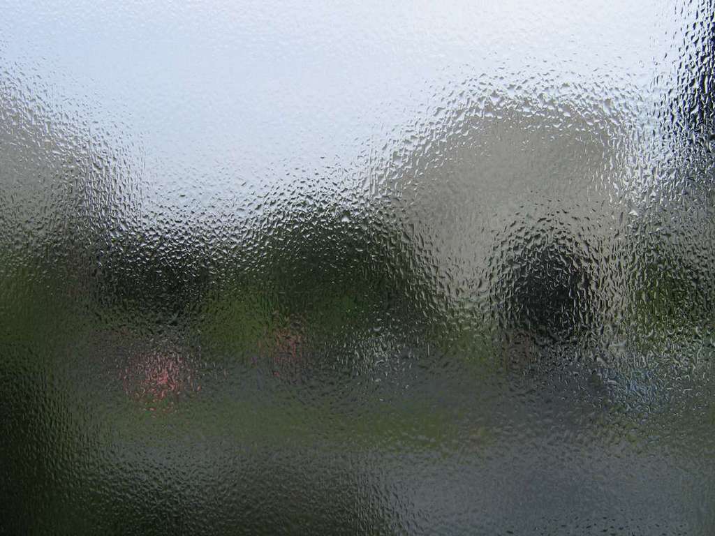 Un quaderno di radici – Inediti editi&nbsp;#4