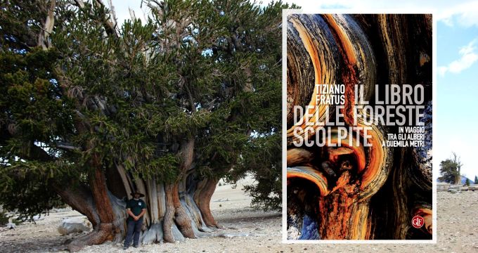 ilibridelleforestescolpite_2000_www