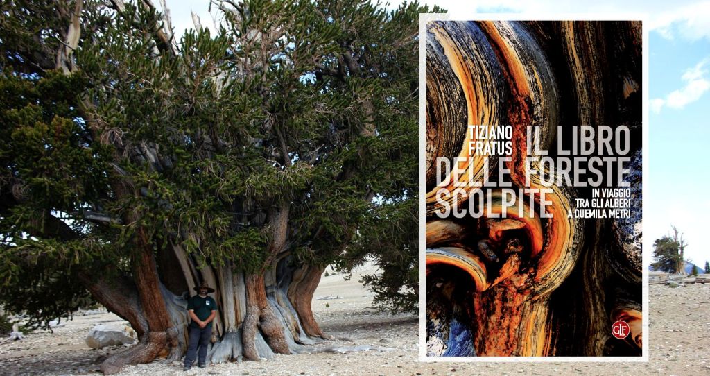 Conto alla rovescia: fra 3 giorni esce “Il libro delle foreste&nbsp;scolpite”