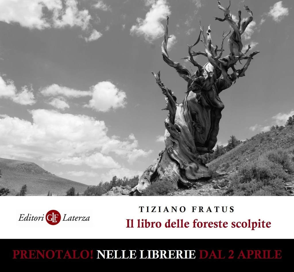 “Il libro delle foreste scolpite” fra un mese nelle&nbsp;librerie