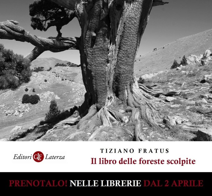 illibrodelleforestescolpite_fratus_battage_47