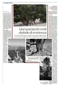 illibrodelleforestescolpite_lastampa_31marzo2015