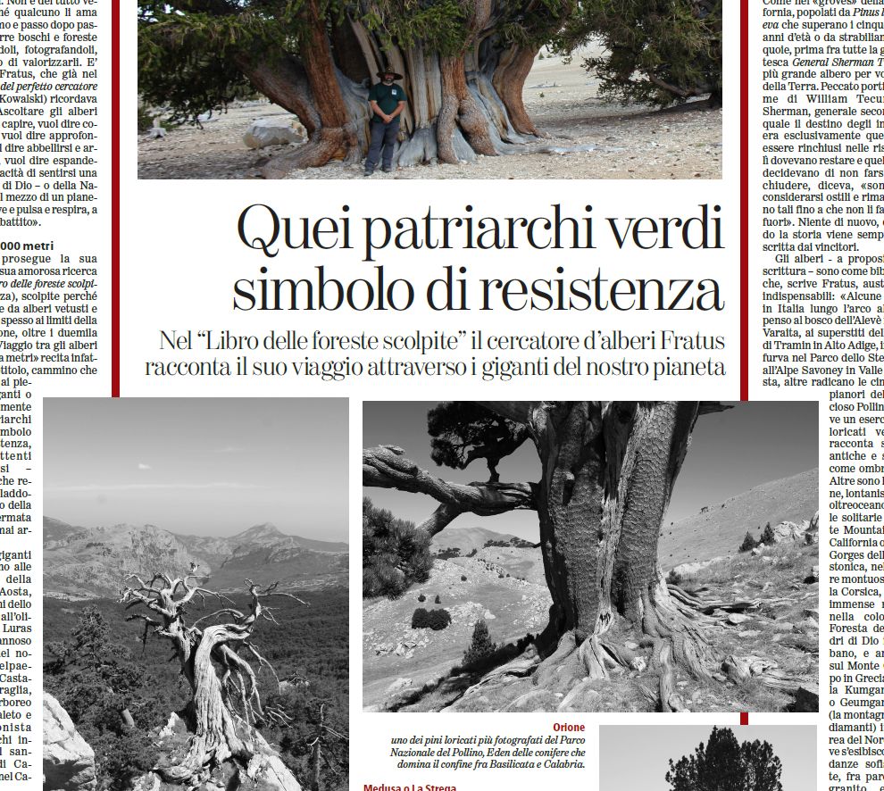 Il libro delle foreste scolpite – Paginone su La&nbsp;Stampa