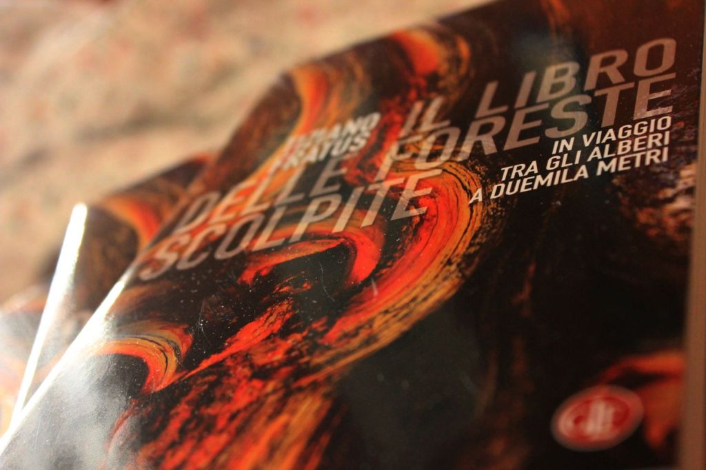 “Il libro delle foreste scolpite” consigliato dalla Libreria Vita e&nbsp;Pensiero