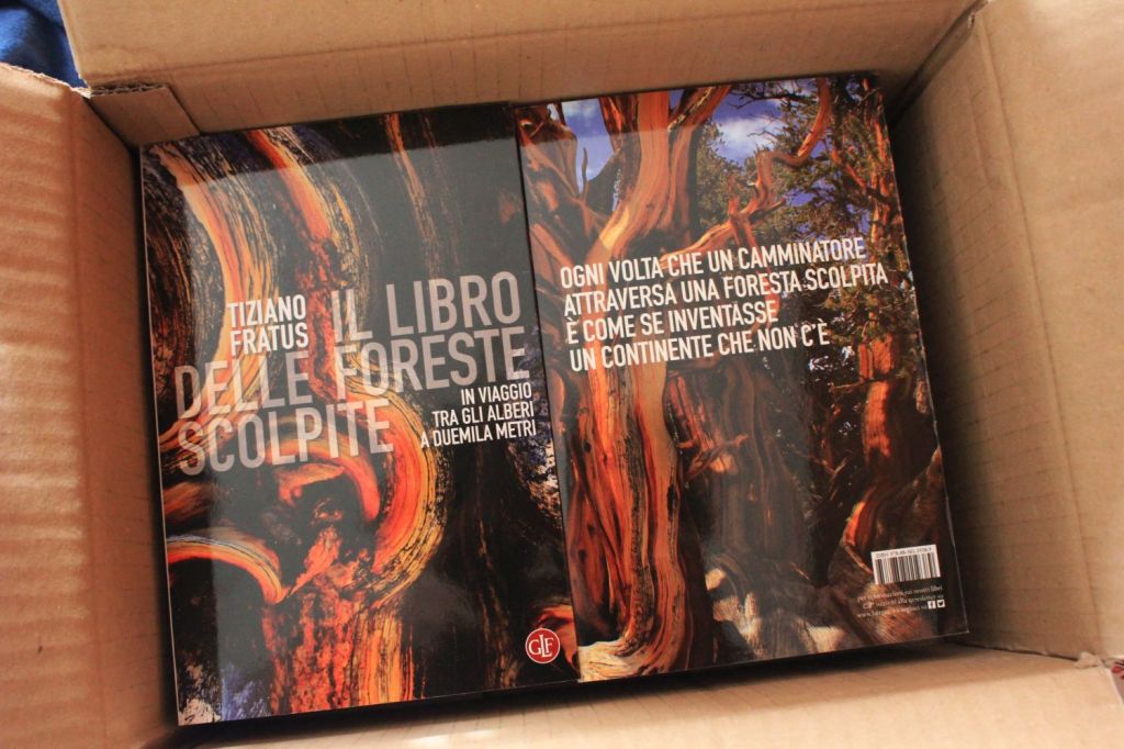 “Il libro delle foreste scolpite” – Le presentazioni di&nbsp;aprile