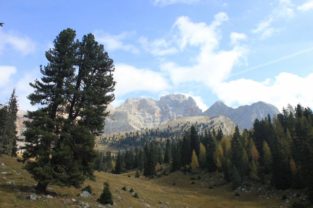 Le+belle Foreste Scolpite d’Italia #001 – Lerosa&nbsp;(BL)