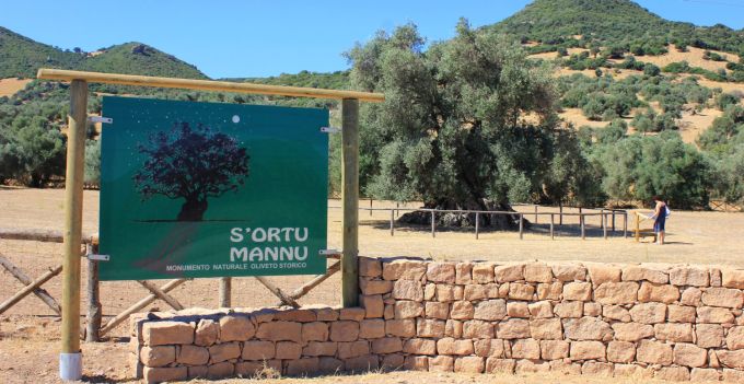 fratus_sortumannu_1_redux