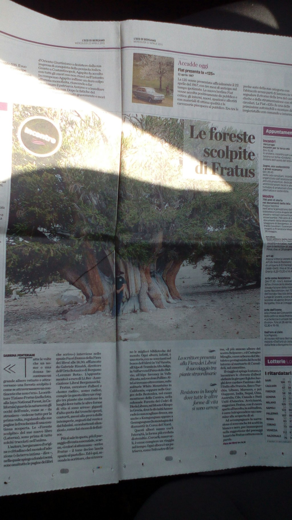 Le foreste scolpite di Fratus su °L’Eco di&nbsp;Bergamo°