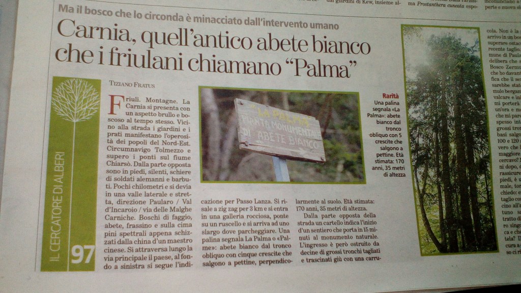 Oggi su °La Stampa° alla ricerca della Palma in&nbsp;Carnia