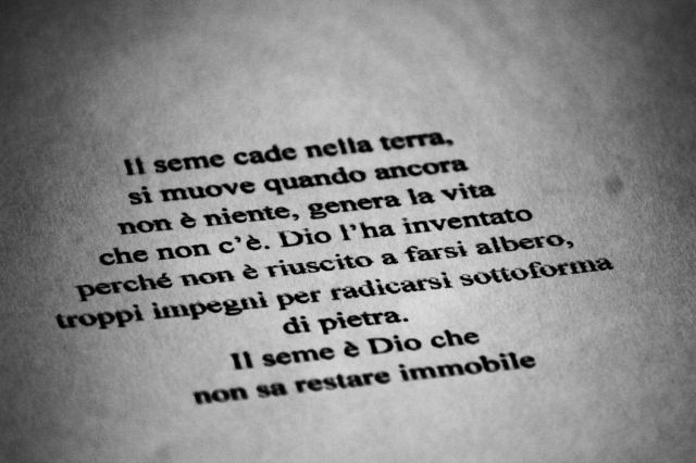 dioseme_fratus_redux