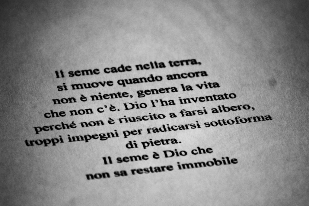 Arborgrammaticus – Poesie in forma di&nbsp;seme