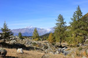 fratus_vda_forestescolpite_savoney