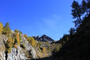 fratus_vda_forestescolpite_savoney2