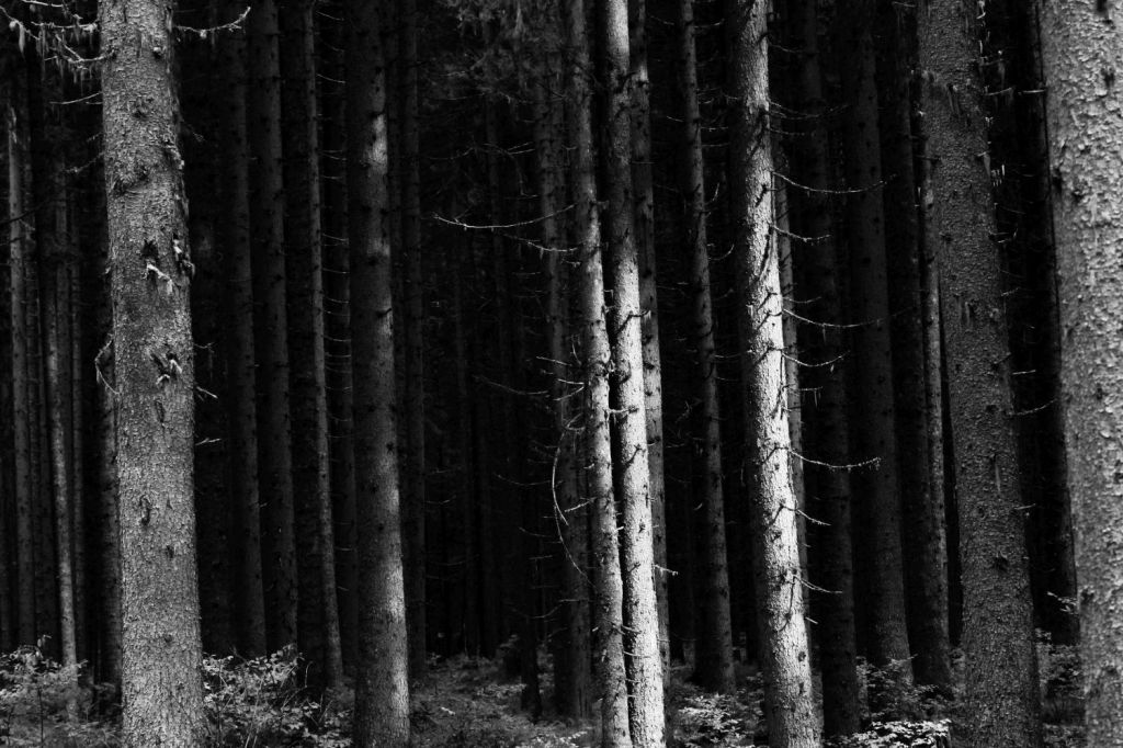 La protesta dei&nbsp;venti