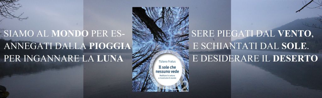 Siamo al mondo per essere piegati dal&nbsp;vento