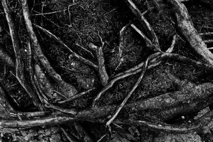 latemar_fratus_bn_redux