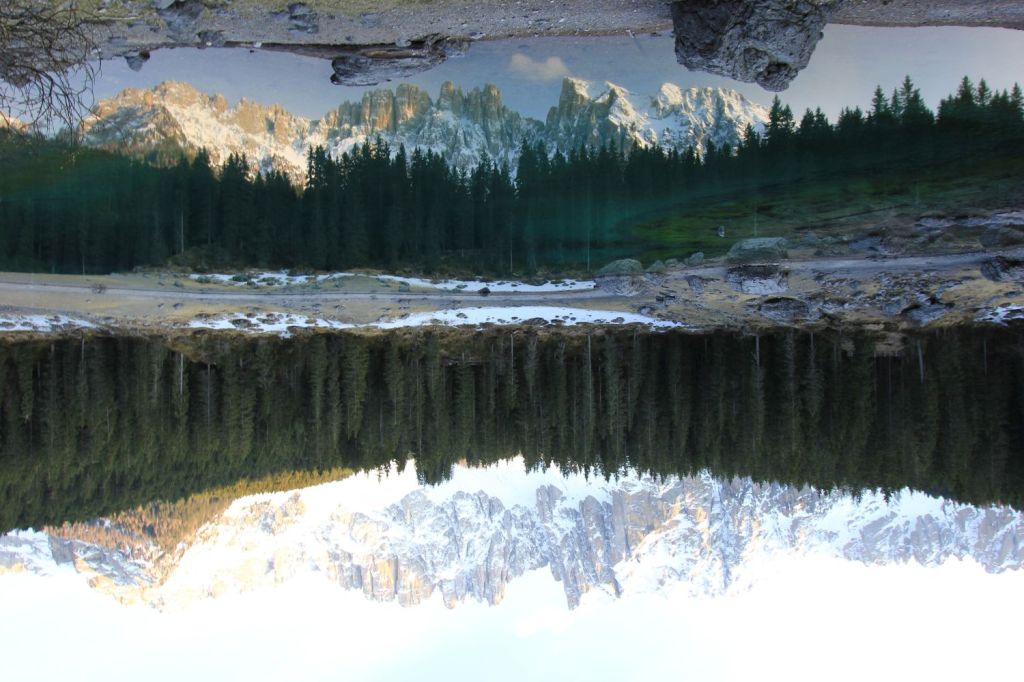 L’abete danzatore e la foresta: le meraviglie di&nbsp;Carezza