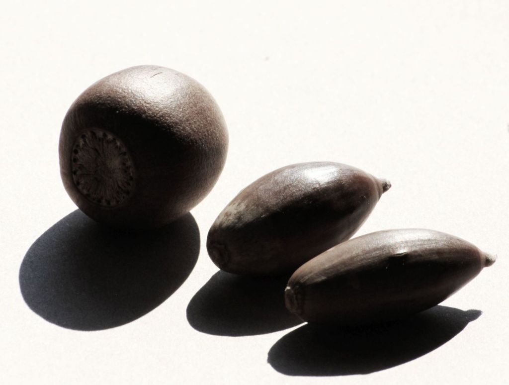 Una manciata di&nbsp;ghiande