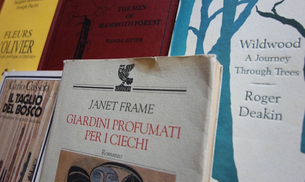 La °Biblioteca del Cercatore d’Alberi° – I libri del mese di&nbsp;giugno