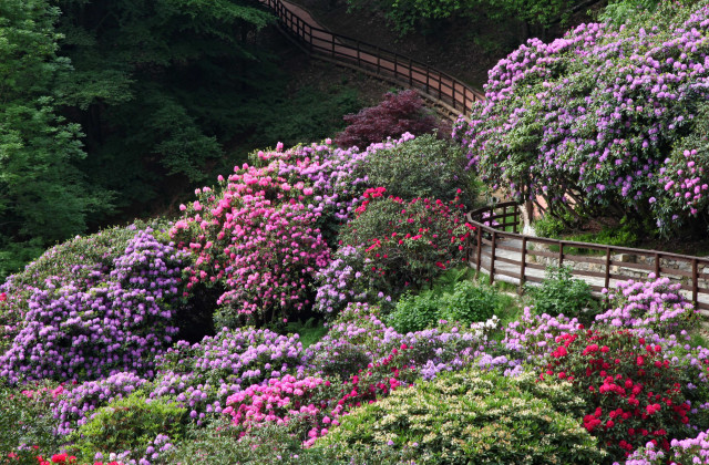 LOasi-Zegna-di-Trivero-Biella-640x420