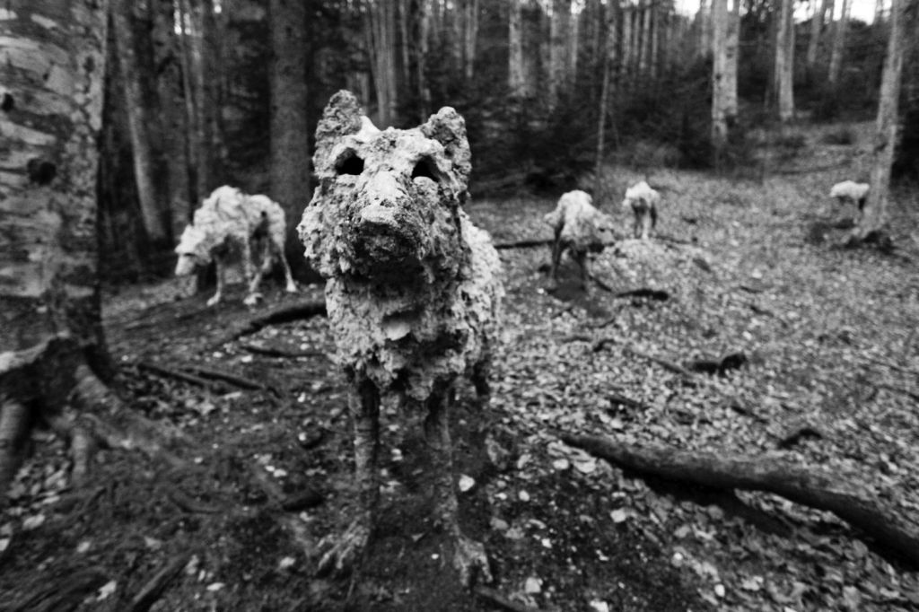 °Il Cane, il Lupo e Dio° su °Il&nbsp;Manifesto°