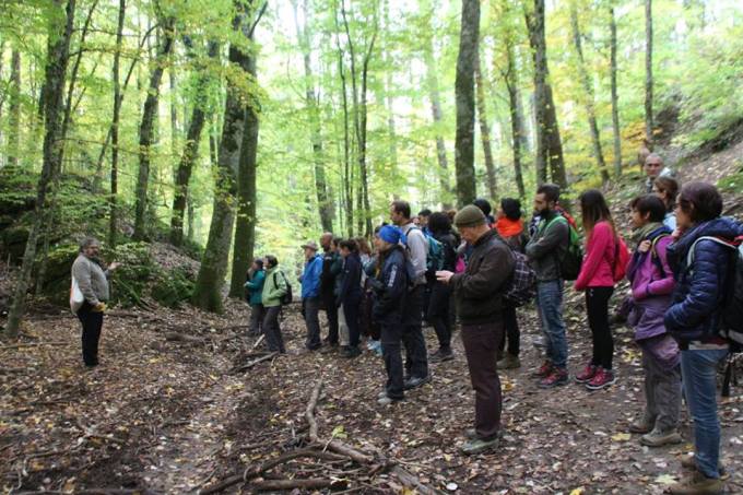 passeggiata_casentino_2016