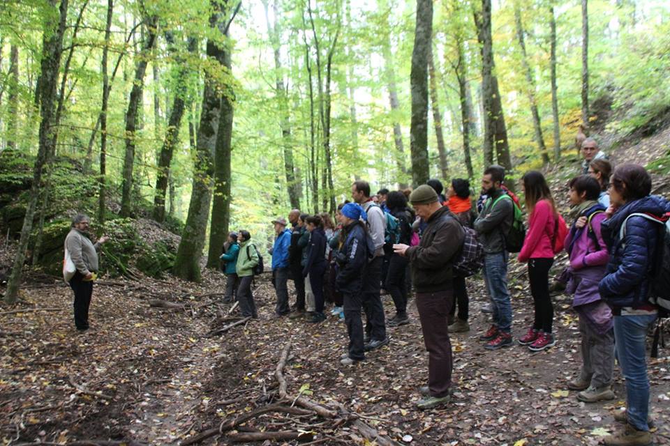 Nel cuore silenzioso della foresta di La&nbsp;Verna