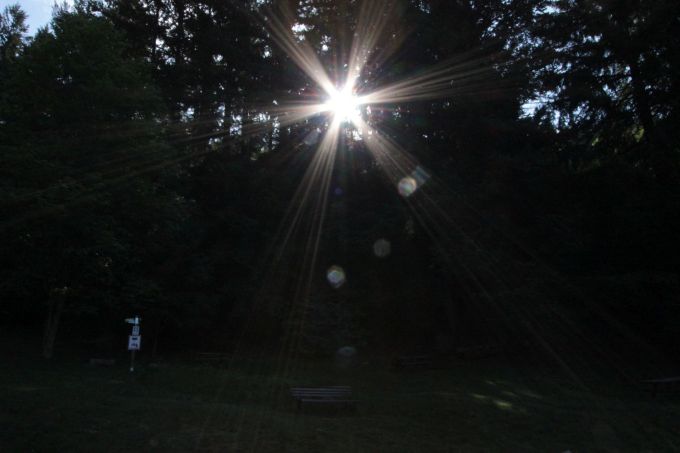 procreazionedelbosco_fratus_a