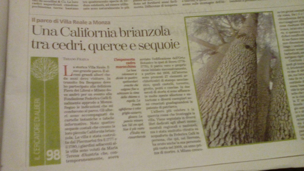 Oggi su °La Stampa° il cedro del parco di Villa Reale a&nbsp;Monza