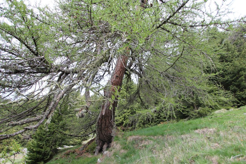 °La Stampa° 100 !! Centesima puntata della rubrica firmata Tiziano&nbsp;Fratus