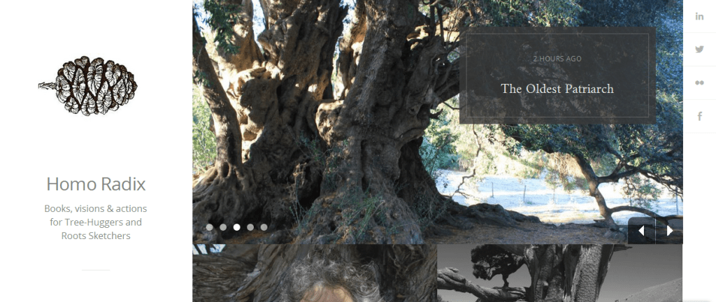 Un nuovo sito in lingua&nbsp;inglese