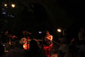 tsagarada_fratus_2015_dendrofonia_2_redux