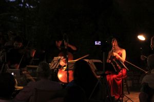 tsagarada_fratus_2015_dendrofonia_3_redux