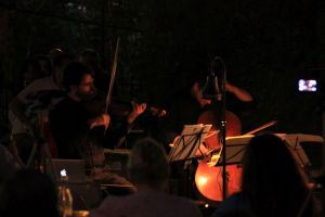 tsagarada_fratus_2015_dendrofonia_4_redux