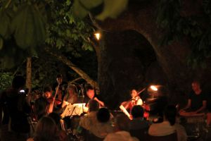 tsagarada_fratus_2015_dendrofonia_9_redux