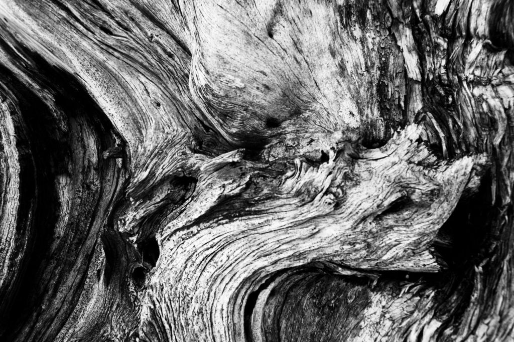 °L’annunciazione dei Semi° il 29 settembre a&nbsp;Milano