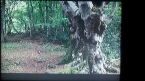 geoandgeo_30ottobre2015_fratus_a