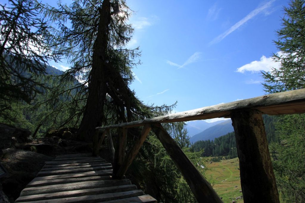 La spettacolare scalinata dei larici&nbsp;monumentali
