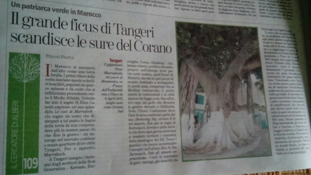 Su La Stampa oggi: il ficus di Tangeri scandisce le sure del&nbsp;Corano