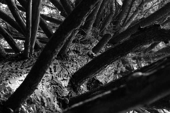 1_lascalaapiolisenzadestinazione_fratus_2015