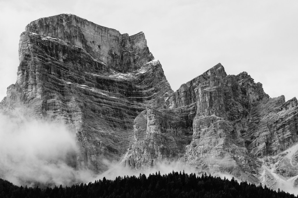 Settima visione boschiva